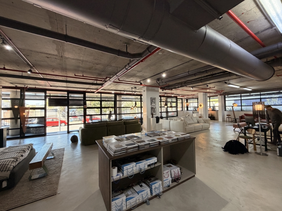 To Let Commercial Property for Rent in De Waterkant Western Cape